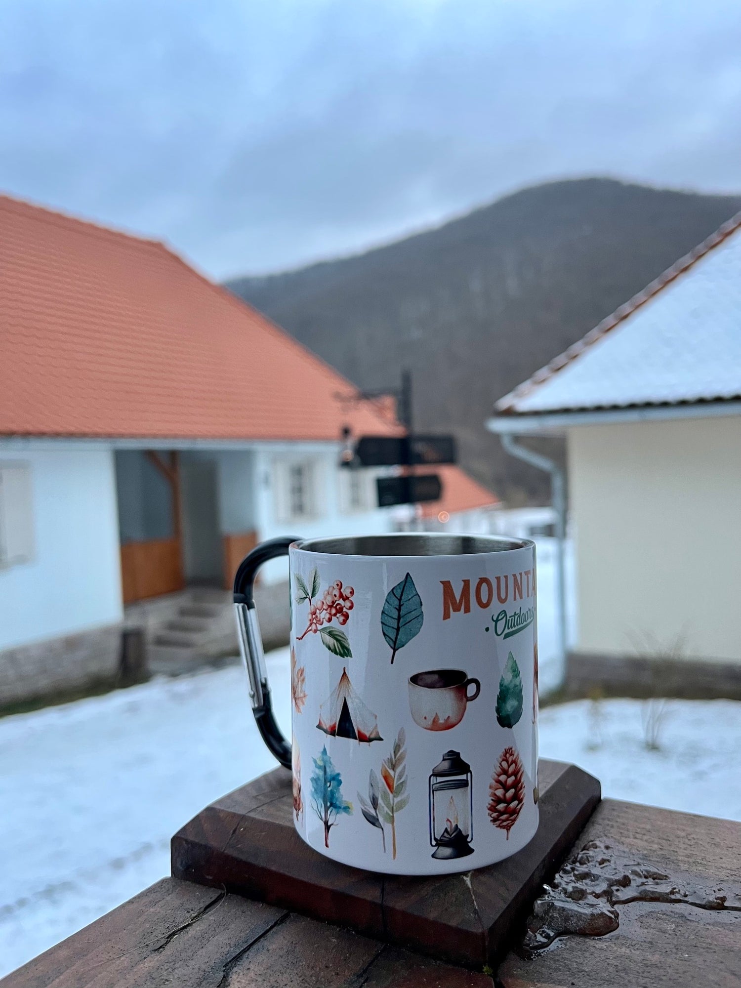Căni metalice cu carabiner
