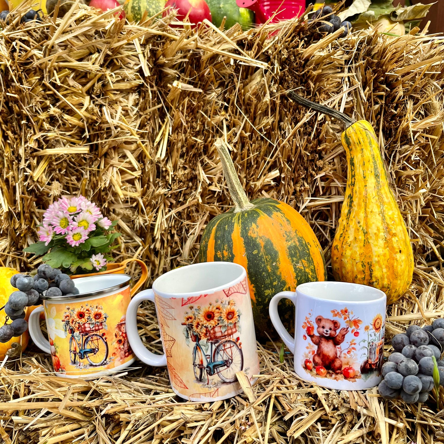 Autumn vibes